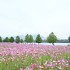 국민일보