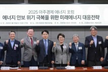[2025 에너지포럼]글로벌 풍력발전 경쟁 치열…&quot;한국도 에너지 안보 속 공급망 육성 속도내야&quot;