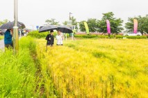 계양구, ‘계양아라온’ 관광명소 조성 위해 함안 선진지 견학