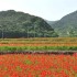 김숙귀