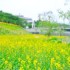 김영택