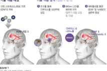 [김해소식]김해의생명산업진흥원, 67개사에 18억 지원 外
