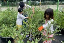 산평초, 자연 속에서 배우는 마을 생태 프로젝트