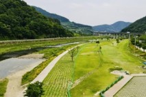 청도군 파크골프장, 밤에도 활짝!