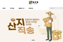 철원군 온라인 쇼핑몰 ‘여름맞이’ 기획전 펼쳐