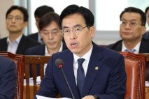 행안부 차관 