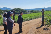 함안군, 강주해바라기축제 대비 현장 점검