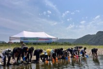 단양군, 자체 생산한 쏘가리 치어 북벽 일원 방류