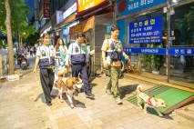 진교훈 강서구청장, 반려견 순찰대와 함께 청소년 선도 순찰