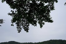 생각수첩95(진선미)