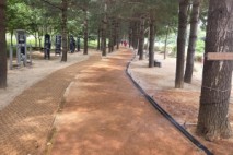 예산군, 덕산온천에 650m 길이 황톳길 조성 완료