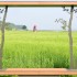 매일경제