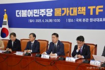 민주당, 물가TF 출범 