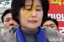 헌재서 민주당 백혜련에 달걀 투척한 일당 검찰에 송치