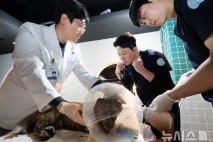 동물병원, 오는 8월부터 진료비 병원 내부 의무 게시해야