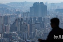 국내 부동산 쓸어 담는 '왕서방'…외국인 '거래 허가제' 도입하나