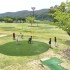 뉴시스