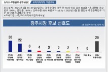 '농부는 밭을 탓하지 않는다'…재선 흑역사 광주시장 선거 재조명