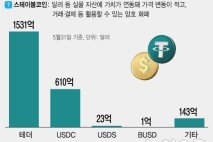 "원화 스테이블코인 성공할까"…거세지는 찬반론