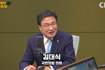 김대식 