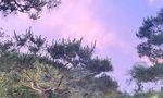 최여진, ♥7세 연상 남편과 꿀 떨어진다..꼭 붙어서 박하나 결혼 축하