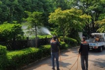 “불쾌한 러브버그 처리해 드립니다”…마포구, 친환경 방제 활동 강화