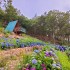 세계일보