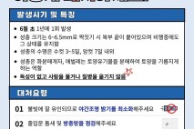 양천구, 여름철 불청객 '러브버그'에 선제 대응