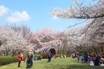 서대문구, 9월부터 '안산 잔디마당' 공공예식장 무료 대관