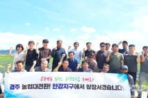 경북 3대 평야, '농업대전환'... 벼 대신 콩·옥수수 심는다