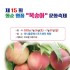 양에스더