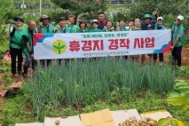 오산시 대원2동 새마을지도자협의회, 사랑의 감자 수확
