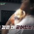 머니투데이