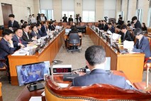 국회 행안위, '13조 소비쿠폰' 추경안 의결…전액 국비로