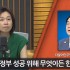 노컷뉴스