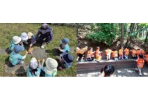 성북구, 유아 숲 학교 11월까지 운영