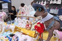 반려동물 연관산업 육성법 발의… 제도적 기반 마련