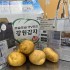 연합뉴스