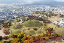 경주 제주 순천 고창에서 ‘2025 세계유산축전’ 개최