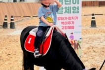 "아이들아, 말 타러 가자!" 경기도 어린이 말 체험 9월 재개...전액 무료!!