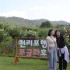 중앙일보