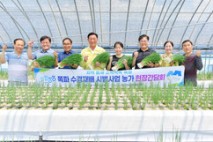 장성군, 신소득작목 ‘쪽파’ 수경재배 성공 가능성 확인