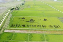 쉴랑게, 생태치유 순천! 벼로 그린 치유 메세지