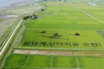(순천)  순천에서 만나는 벼 예술, 자연 속 치유 메시지 ‘쉴랑게’