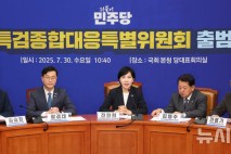 與, 특검 연장 카드 '만지작'…내년까지 특검 수사?