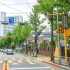 뉴시스