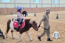 경기도, 어린이 말 체험 9월 재개…전액 무료