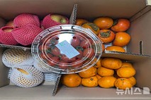 성남시, 가정보육 아동 1인당 6만7800원 상당 과일 지원