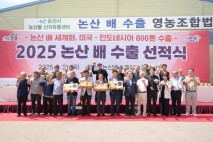 논산배, 미국·인도네시아행…올해 800t 수출 '354만 달러'