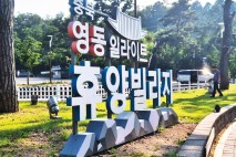 충북 영동군에 기증한 수억대 조경수  27그루가 사라졌다